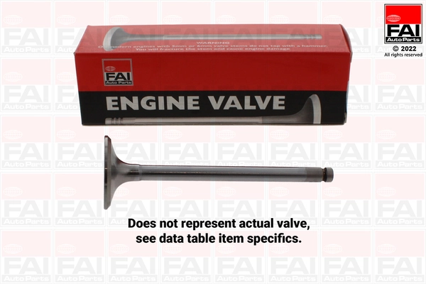 Intake Valve